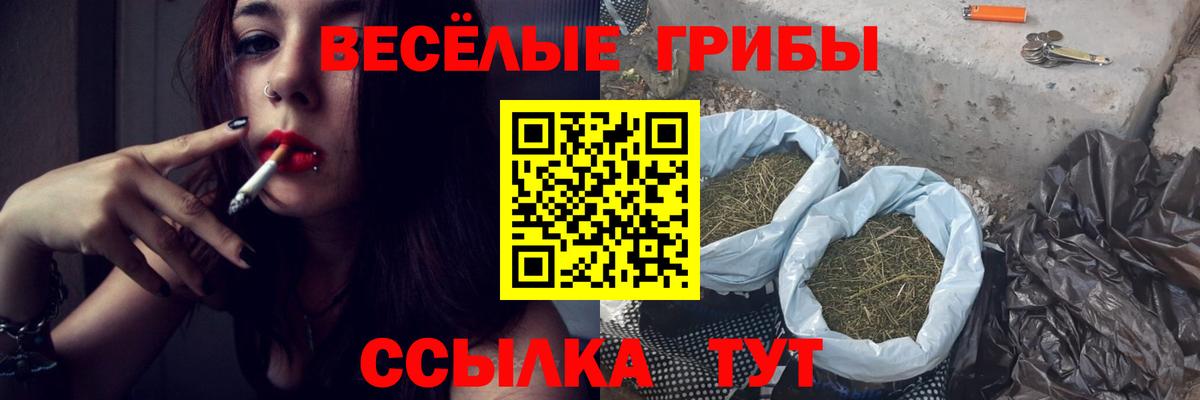 Псилоцибиновые грибы мухоморы  Вход с VPN  Уварово 